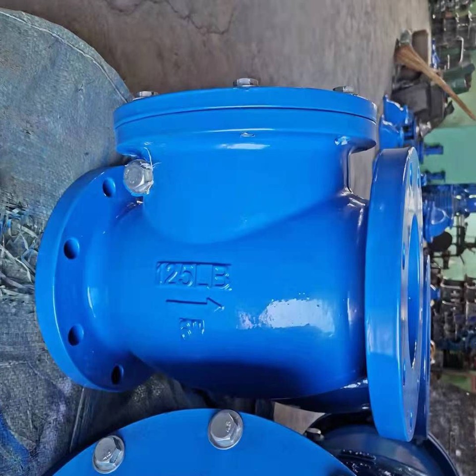 Swing Check Flange Valve5