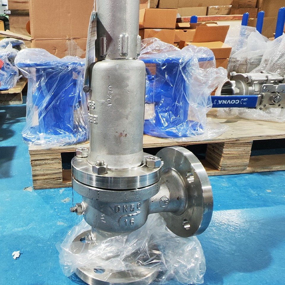 All Stainless Steel Flanged Safety Valve 8