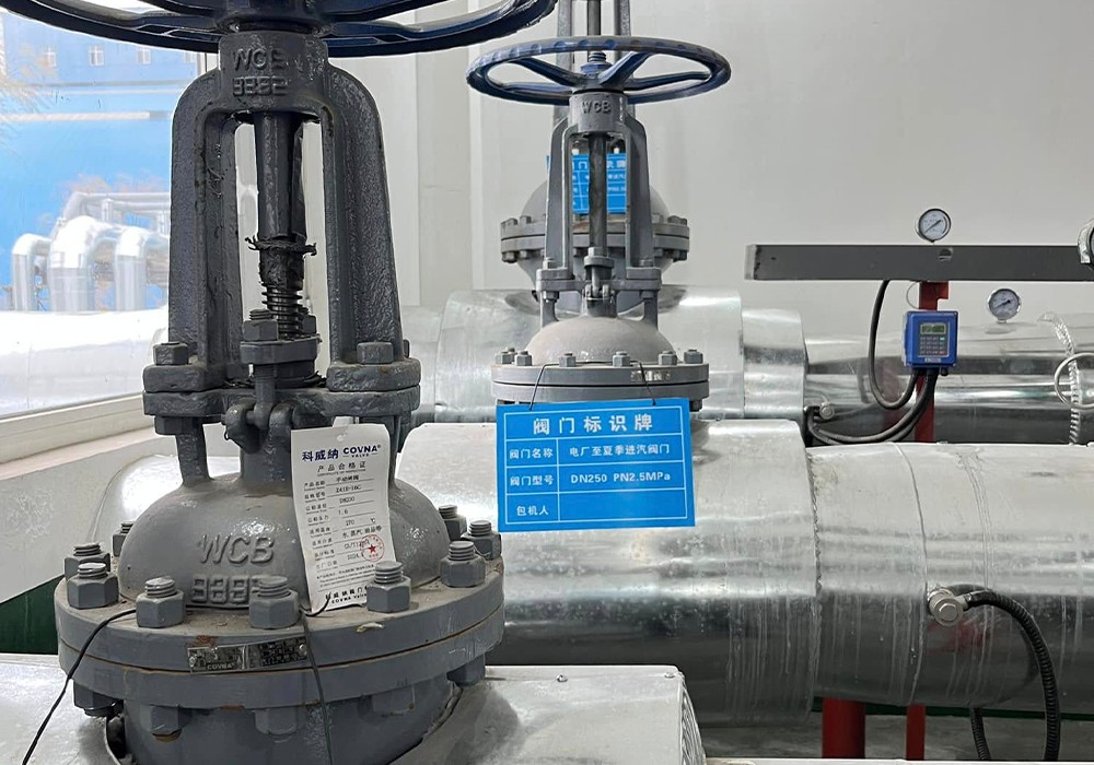 Что такое Globe Valve5