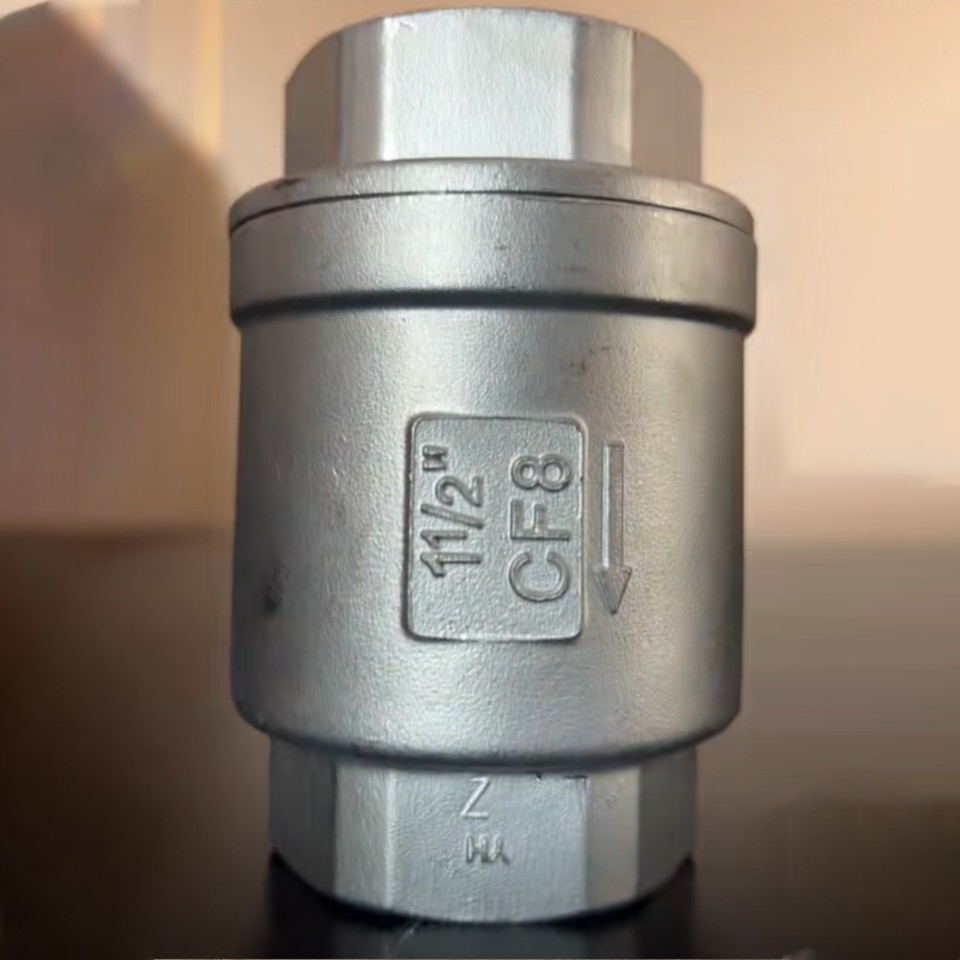 Vertical Threaded Stainless Steel Check Valve