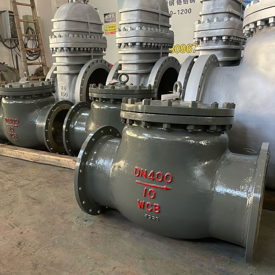 Swing Check Flange Valve6