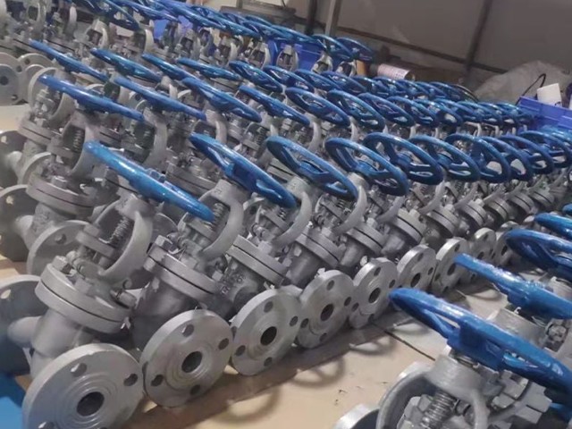 What Is A Globe Valve