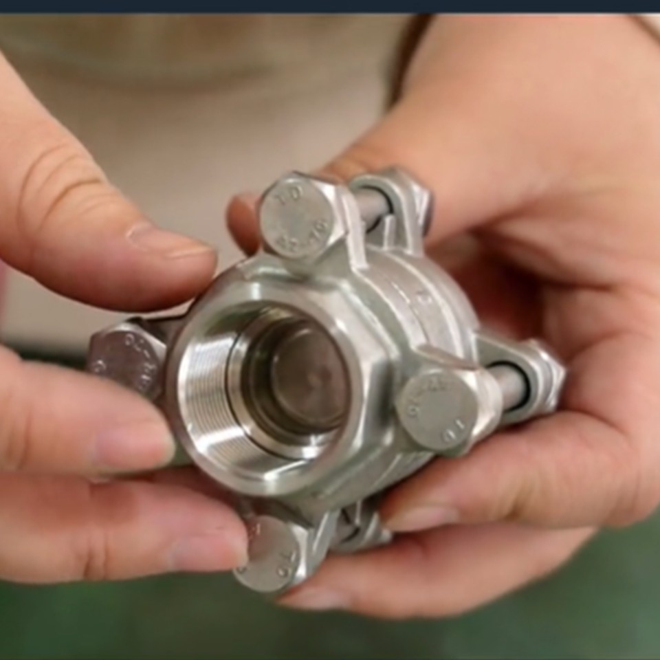 Vertical Threaded Stainless Steel Check Valve5