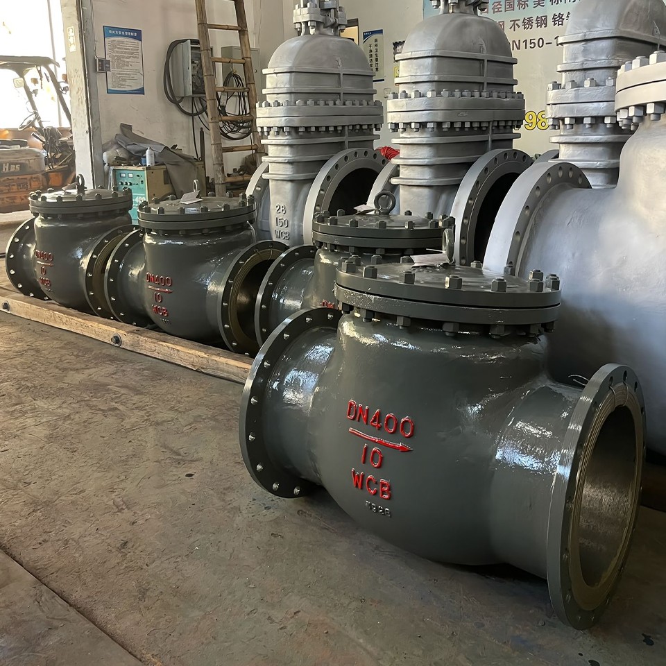 Swing Check Flange Valve9