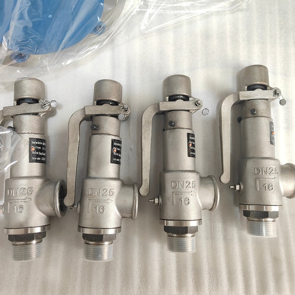 All Stainless Steel Flanged Safety Valve 7