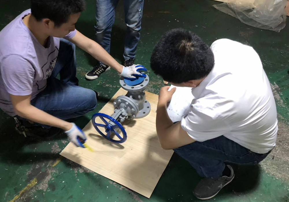 Apa Itu Gate Valve2