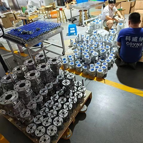 Lug And Wafer Type Butterfly Valve COVNA Factory