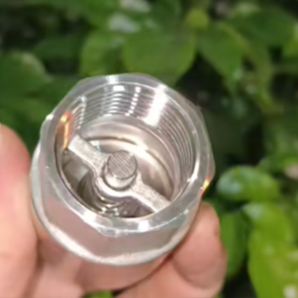 Vertical Threaded Stainless Steel Check Valve2