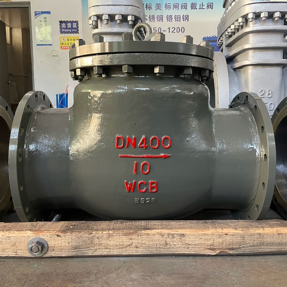 Swing Check Flange Valve7