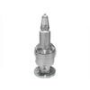 Stainless Steel Flanged Safety Valve