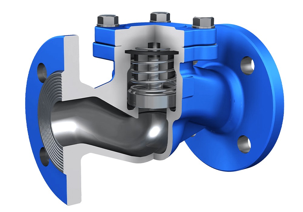 What Does a Check Valve Do4