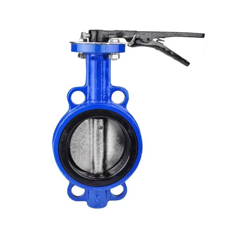 How Many Types of Valves Are There Butterfly Valve