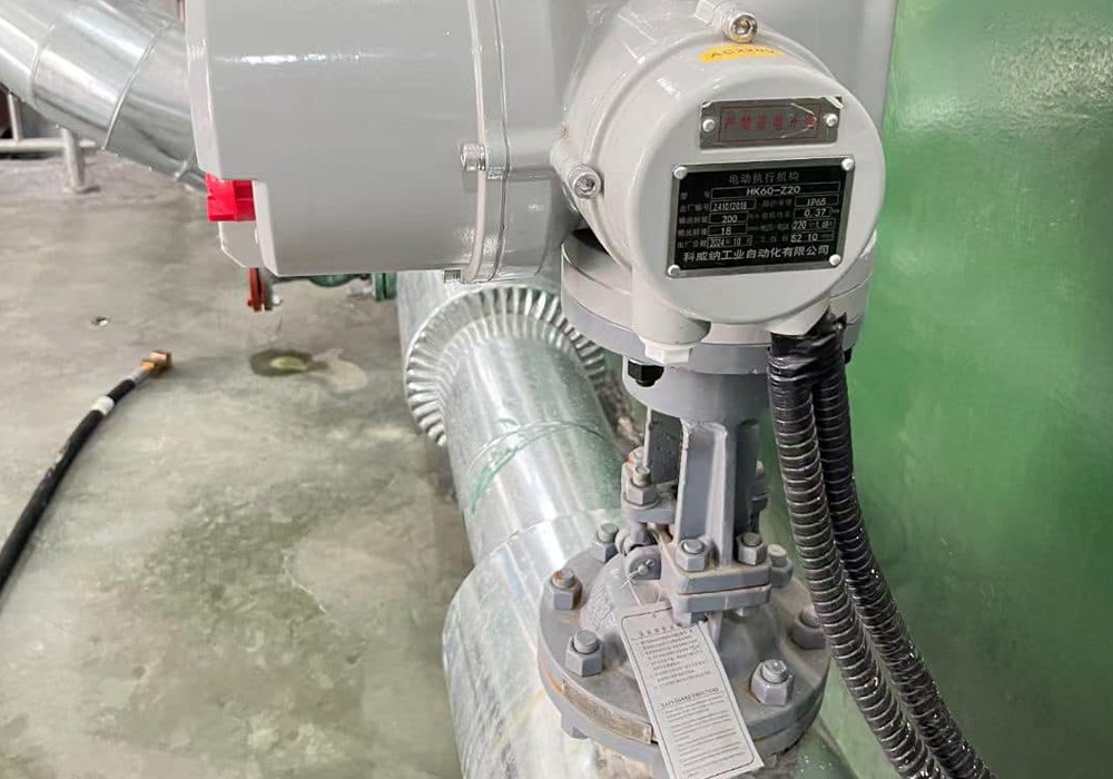 Что такое Globe Valve4