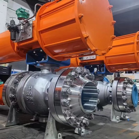 Butterfly Valve Concentric COVNA Factory