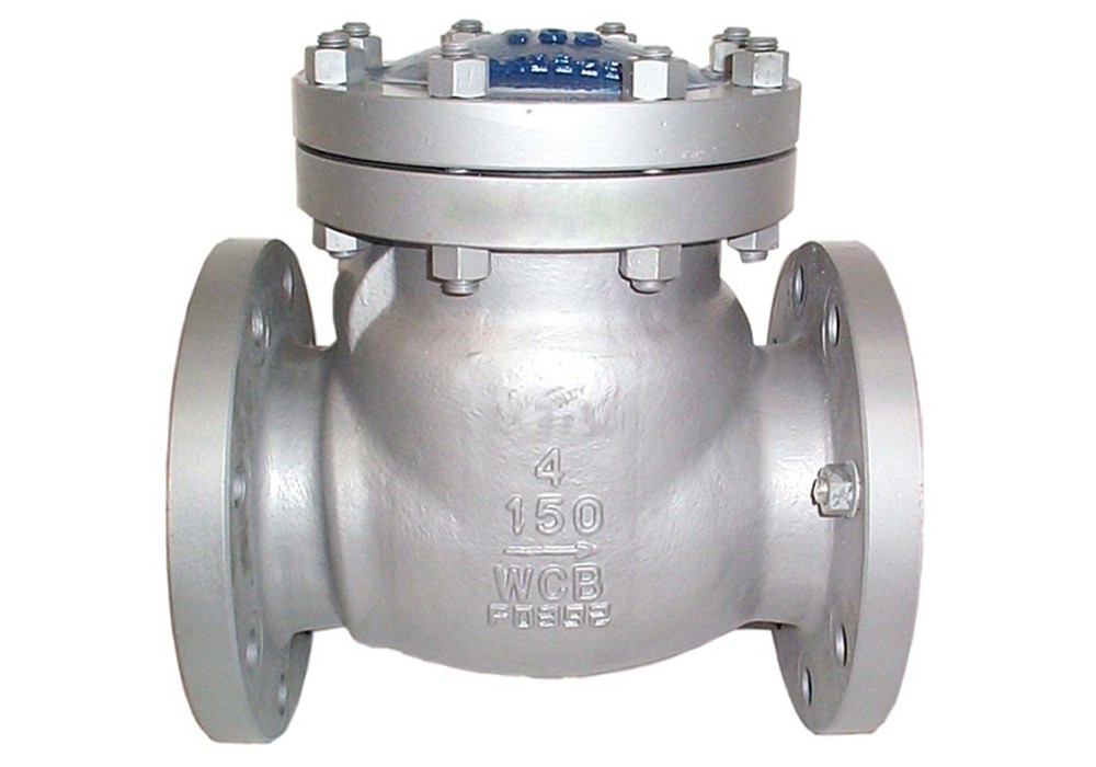 What Does a Check Valve Do1