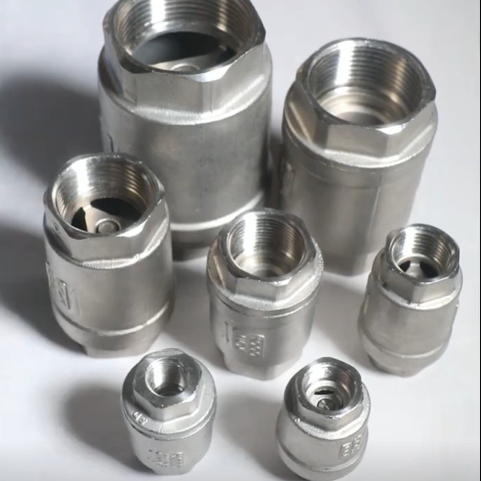 Vertical Threaded Stainless Steel Check Valve3