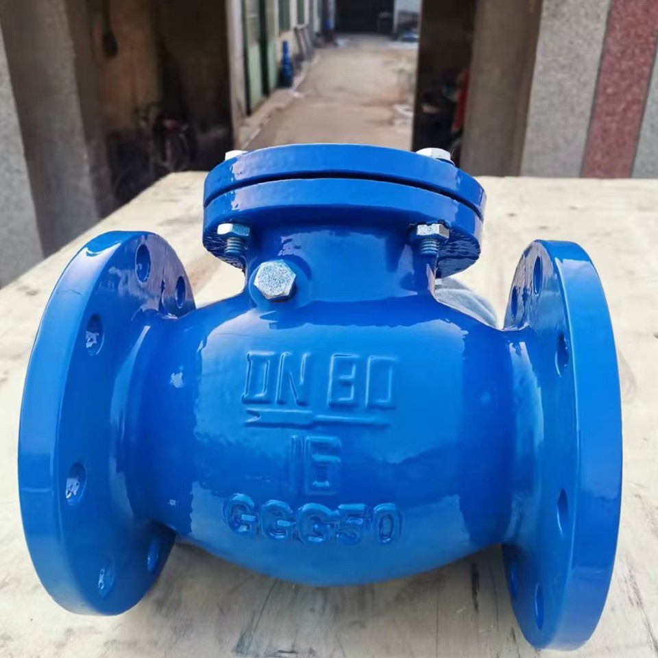 Swing Check Flange Valve4